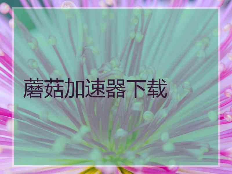 蘑菇加速器下载