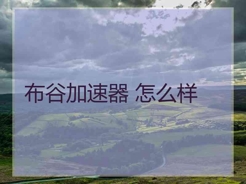 布谷加速器 怎么样