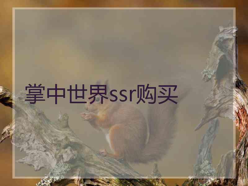 掌中世界ssr购买