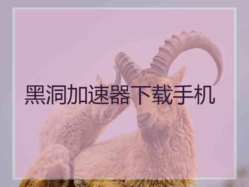 黑洞加速器下载手机