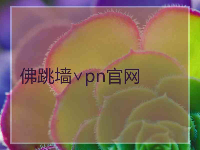 佛跳墙∨pn官网