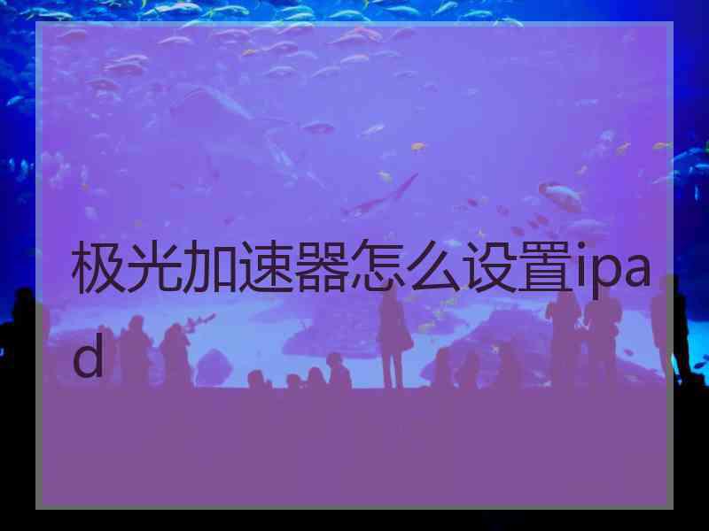 极光加速器怎么设置ipad