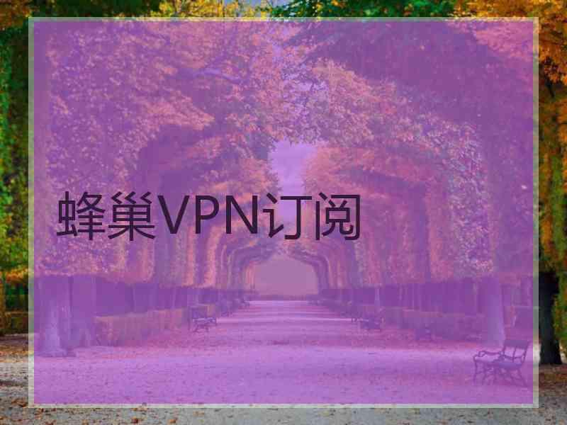 蜂巢VPN订阅