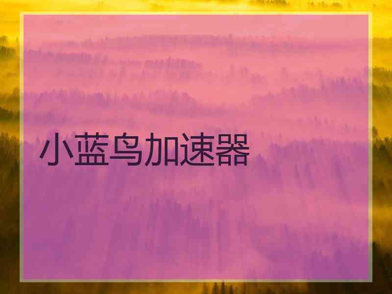 小蓝鸟加速器