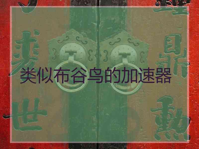 类似布谷鸟的加速器