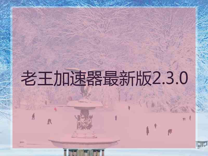 老王加速器最新版2.3.0