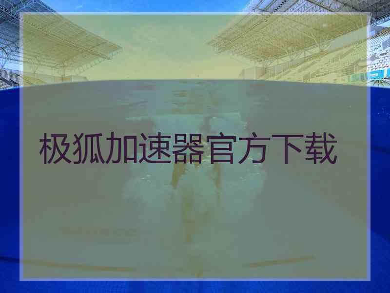 极狐加速器官方下载