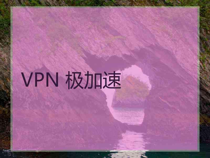 VPN 极加速