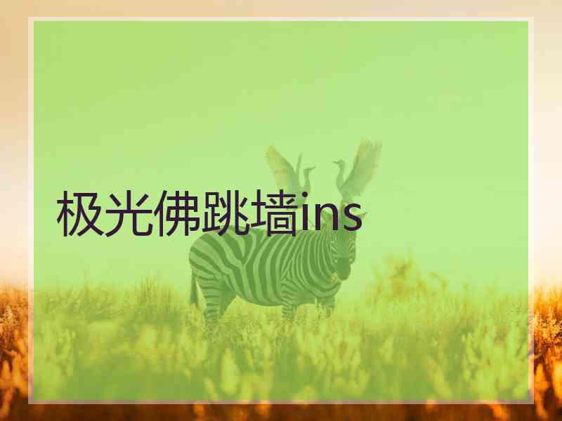 极光佛跳墙ins