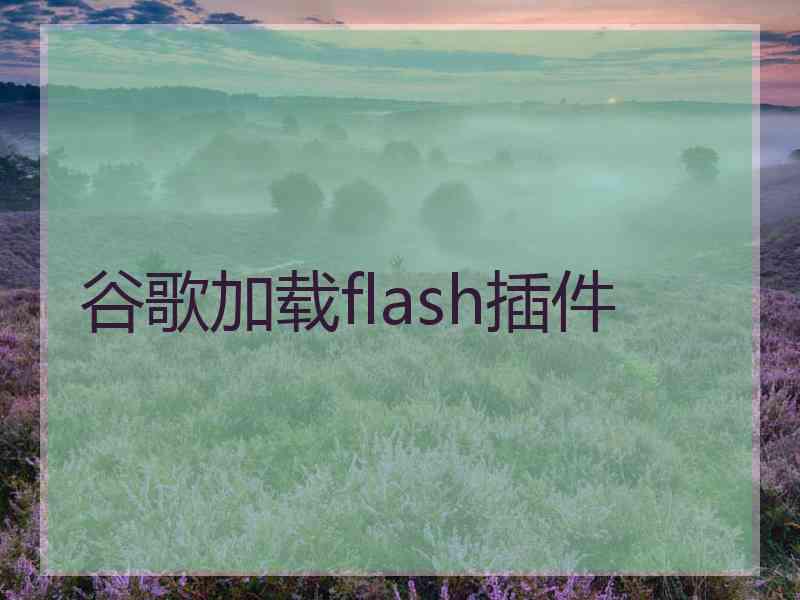 谷歌加载flash插件