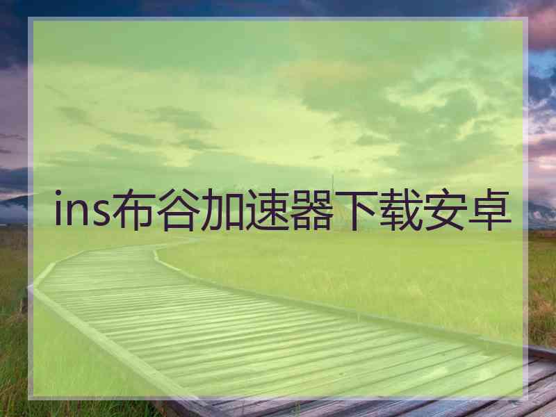 ins布谷加速器下载安卓