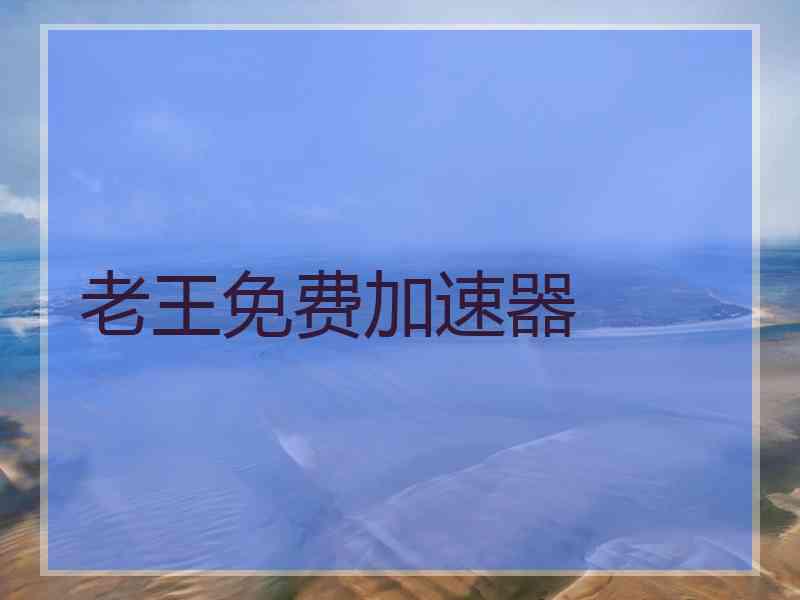 老王免费加速器