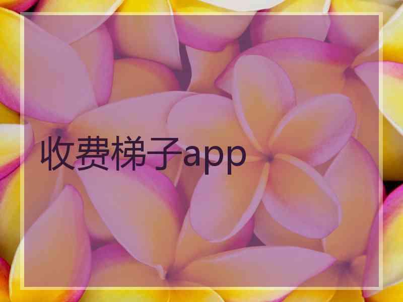 收费梯子app