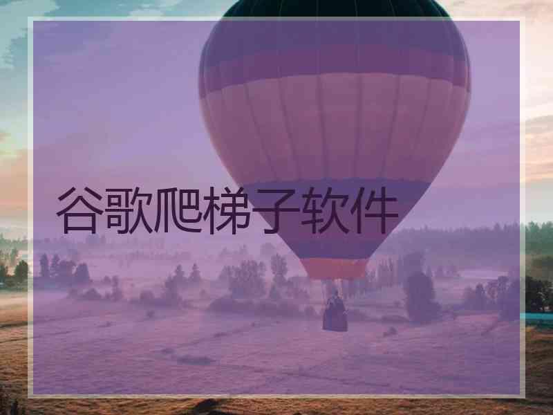 谷歌爬梯子软件