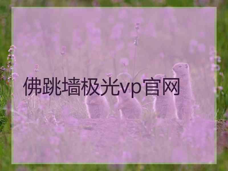 佛跳墙极光vp官网