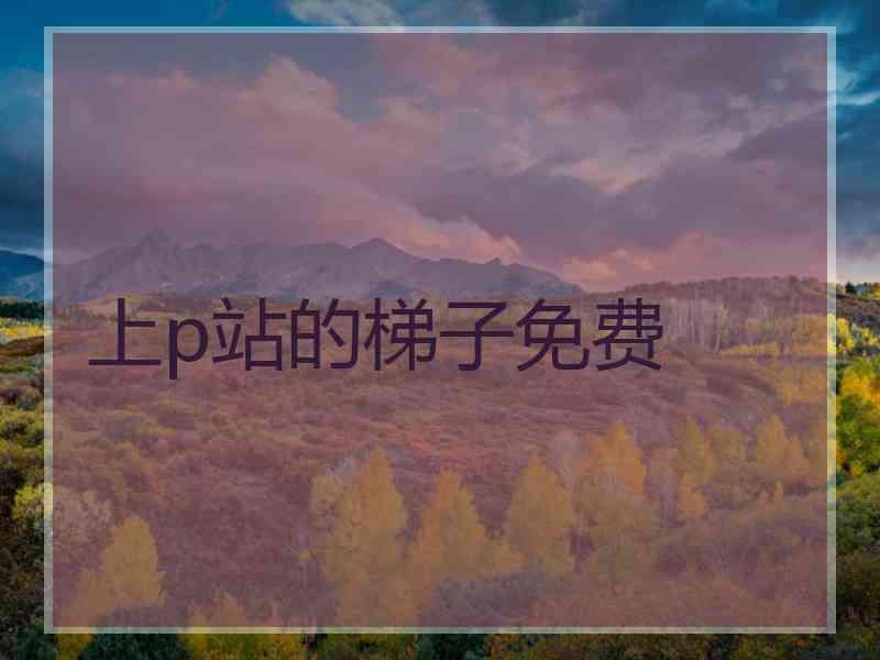 上p站的梯子免费