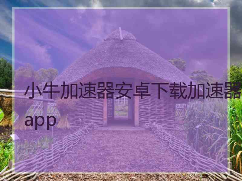 小牛加速器安卓下载加速器app