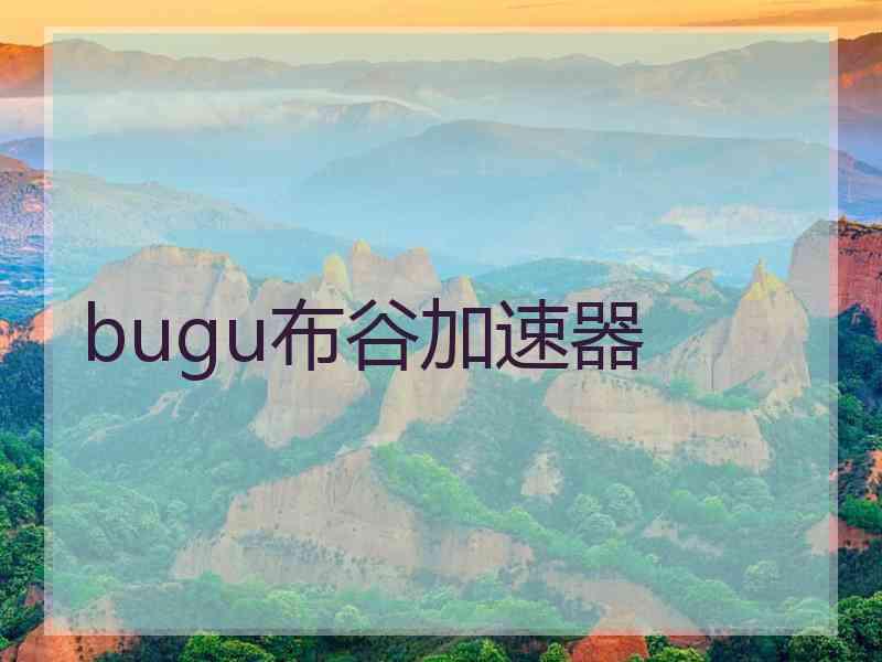 bugu布谷加速器