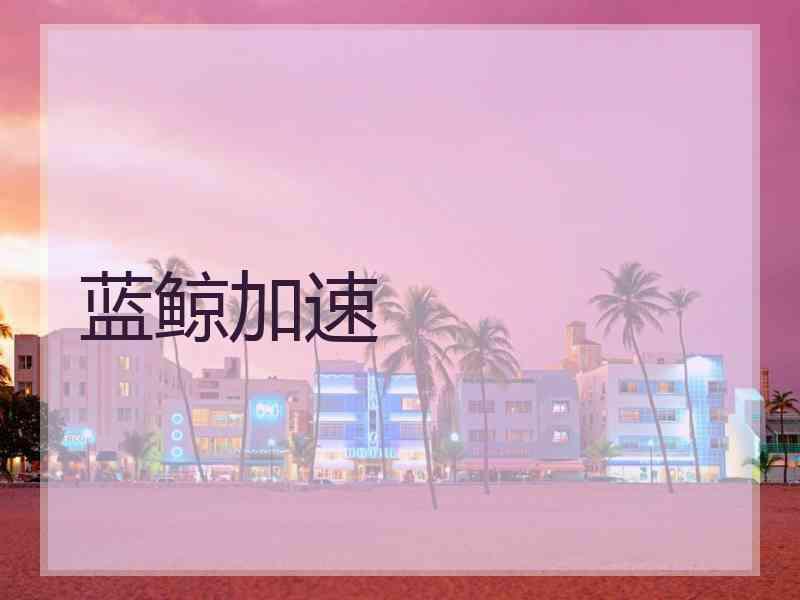 蓝鲸加速