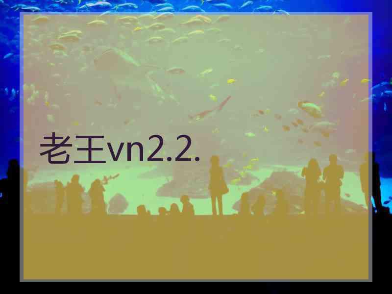 老王vn2.2.