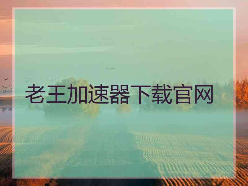 老王加速器下载官网