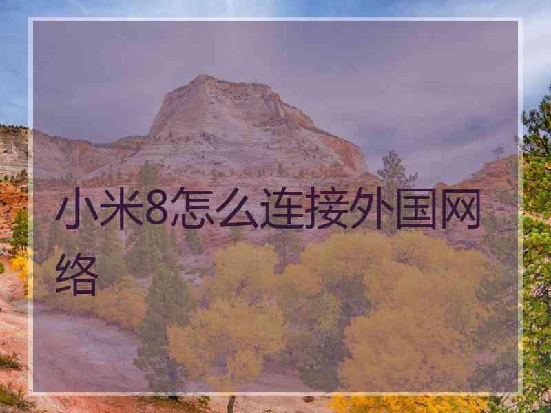 小米8怎么连接外国网络