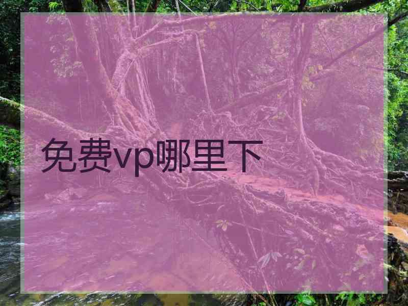 免费vp哪里下