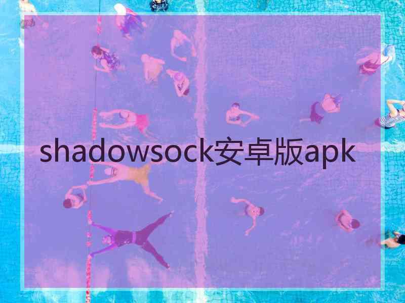 shadowsock安卓版apk