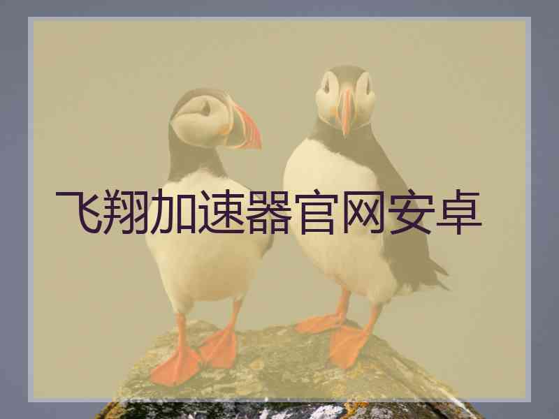 飞翔加速器官网安卓