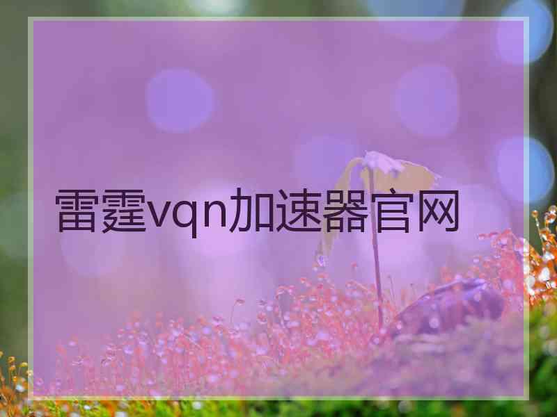 雷霆vqn加速器官网