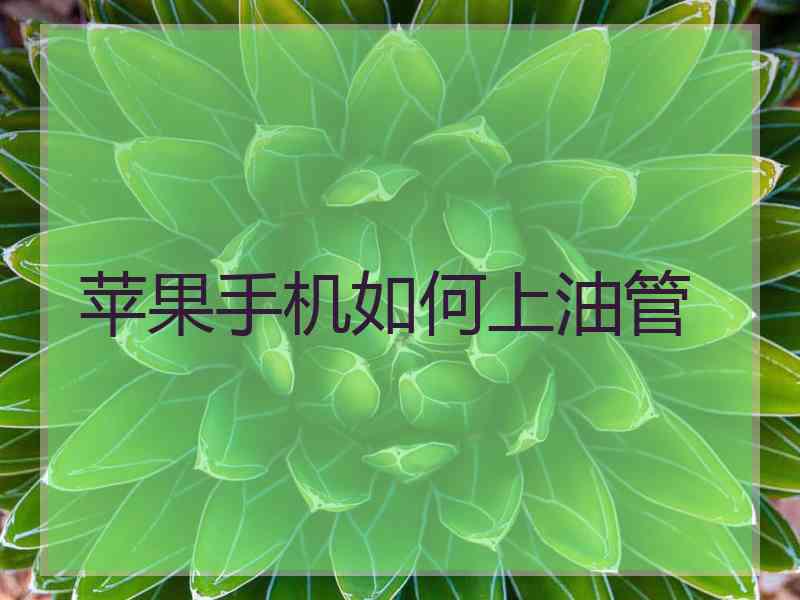 苹果手机如何上油管