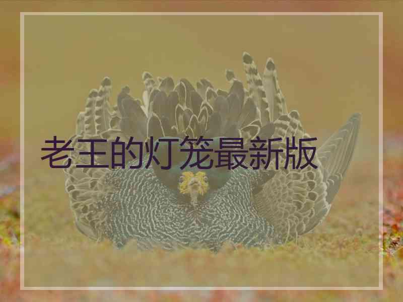 老王的灯笼最新版