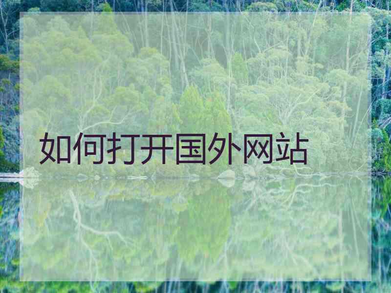 如何打开国外网站