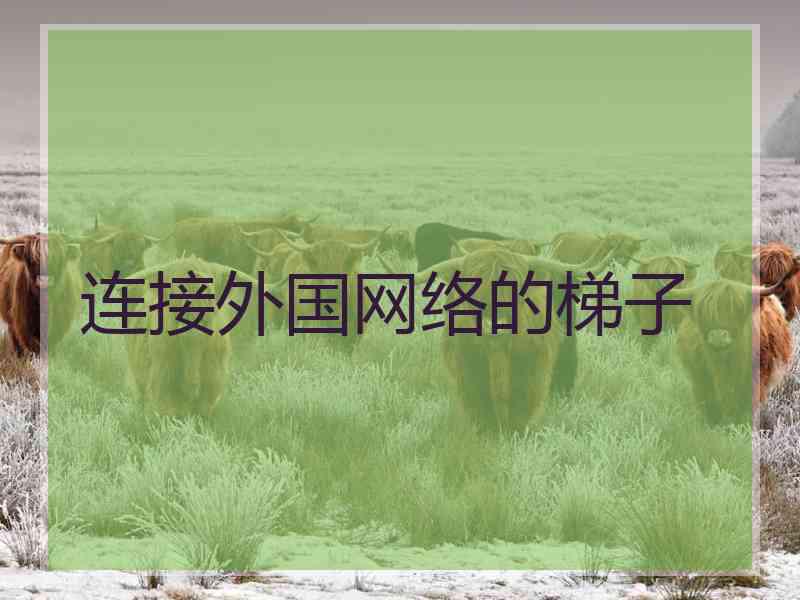 连接外国网络的梯子