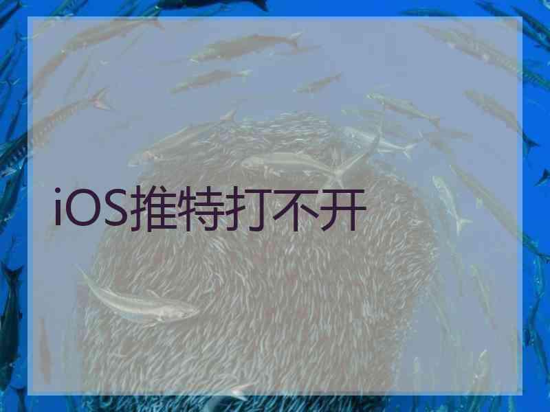 iOS推特打不开