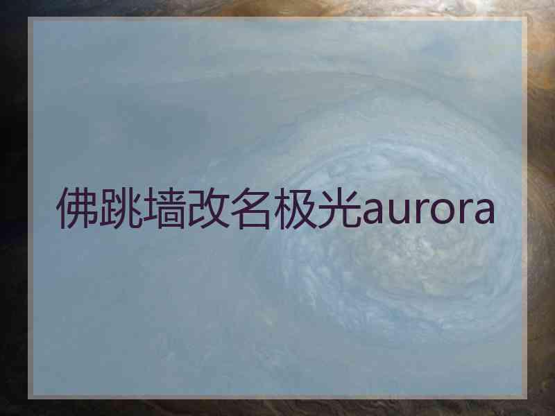 佛跳墙改名极光aurora
