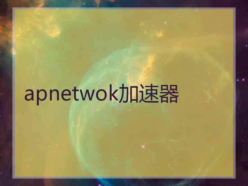 apnetwok加速器