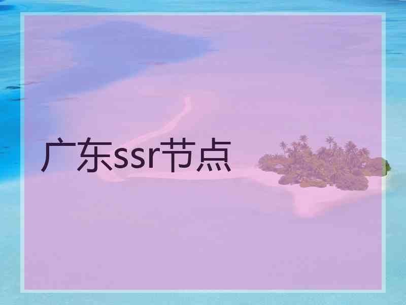 广东ssr节点