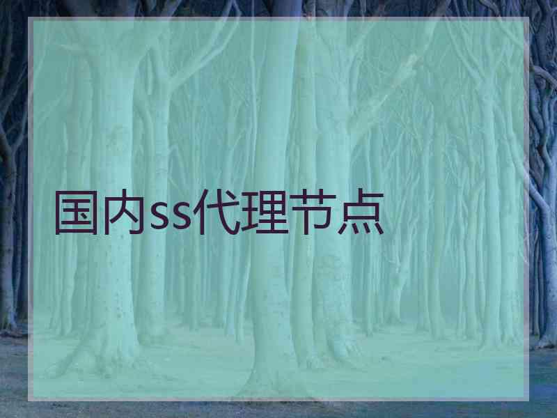 国内ss代理节点