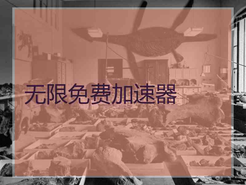 无限免费加速器