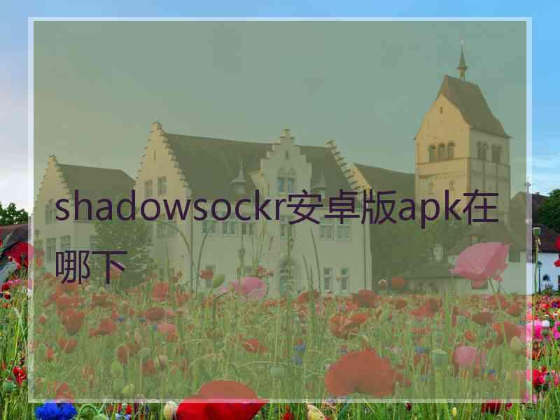 shadowsockr安卓版apk在哪下