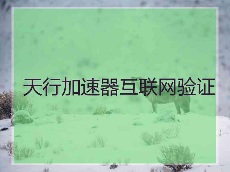 天行加速器互联网验证