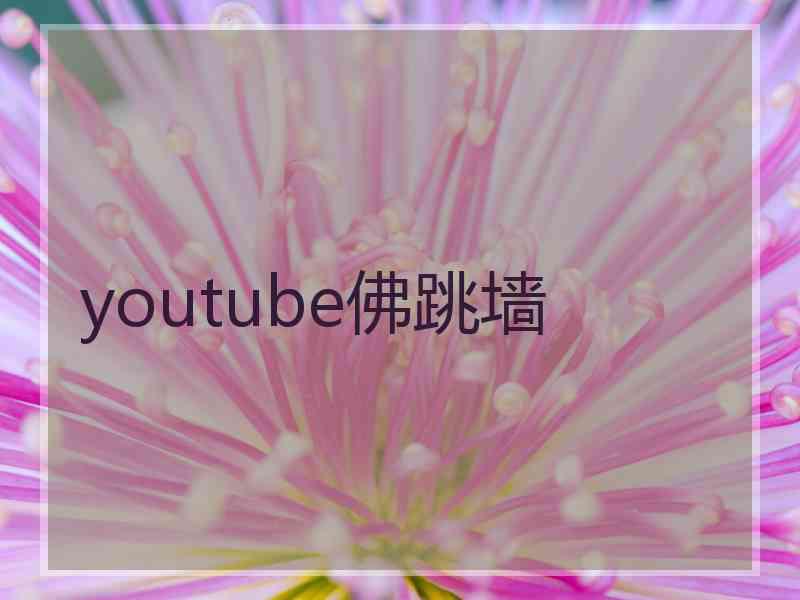 youtube佛跳墙