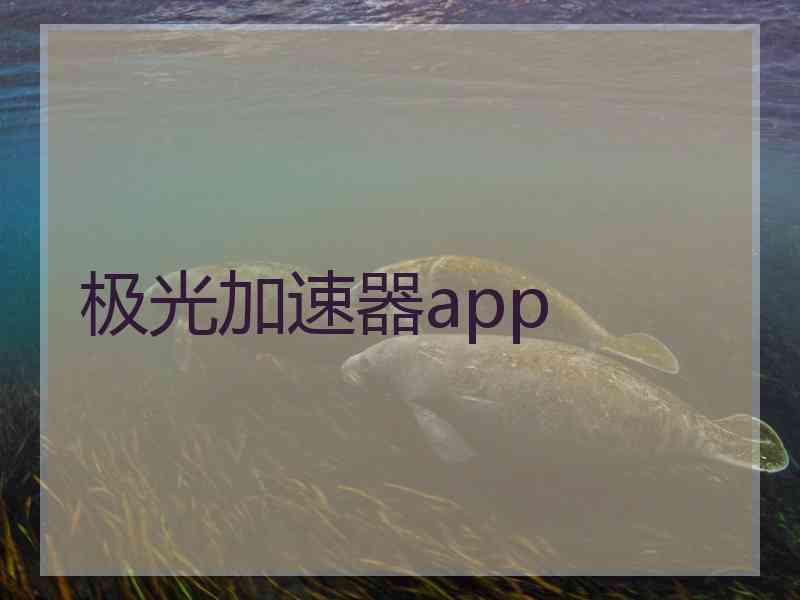 极光加速器app