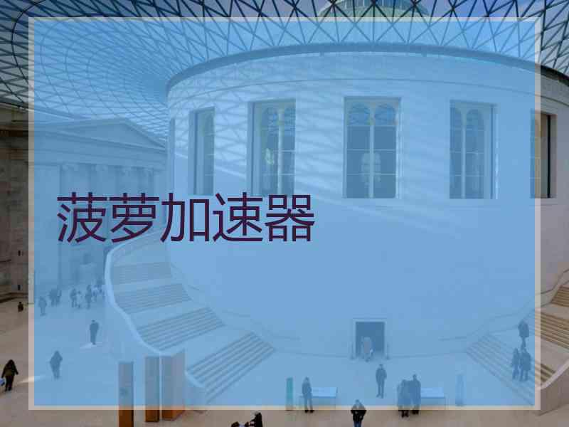 菠萝加速器