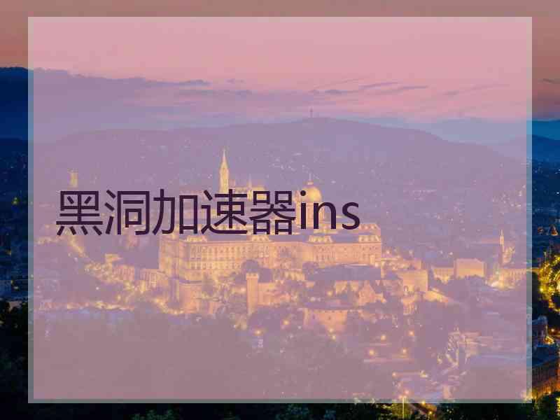 黑洞加速器ins