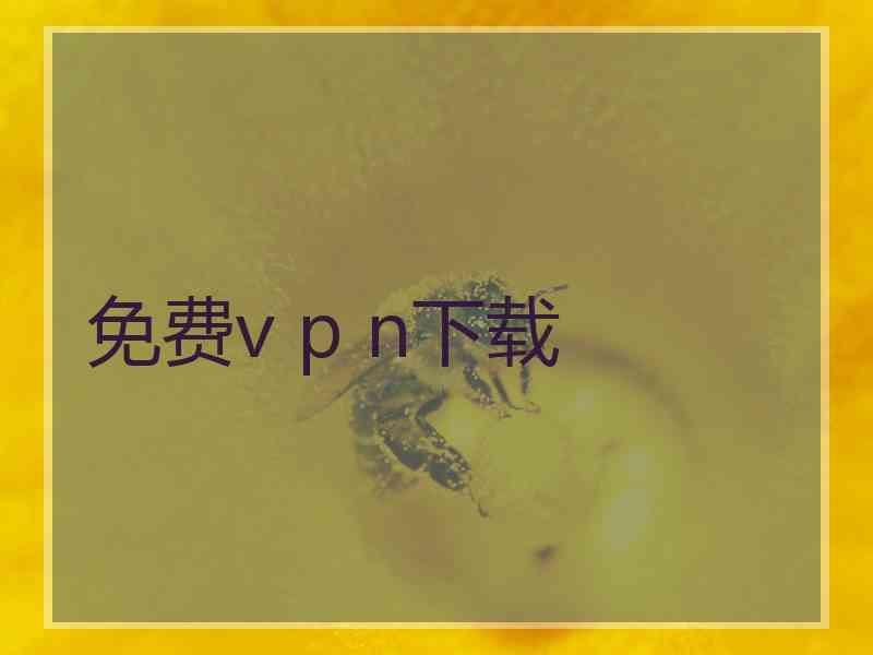 免费v p n下载