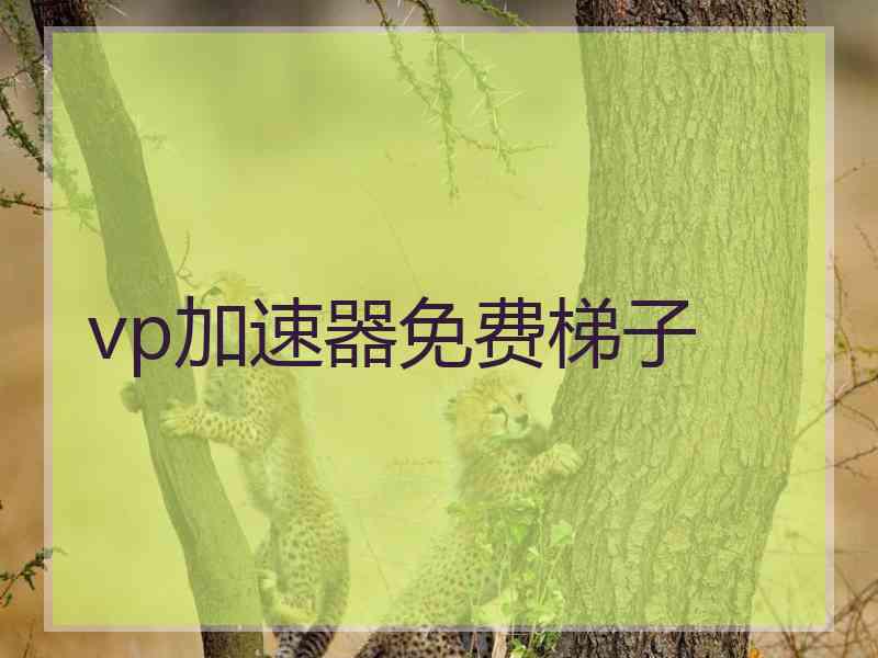 vp加速器免费梯子