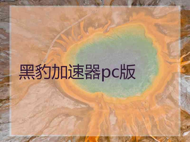 黑豹加速器pc版