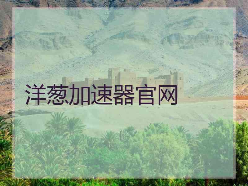 洋葱加速器官网